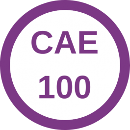 Fall 2024 - CAE 100 Association Leadership, Change, Strategy &amp; Structure