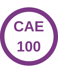 Winter 2024 - CAE 100 Association Leadership, Change, Strategy & Structure
