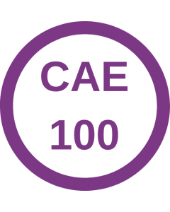 Spring 2024 - CAE 100 Association Leadership, Change, Strategy & Structure