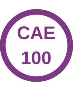 100.png