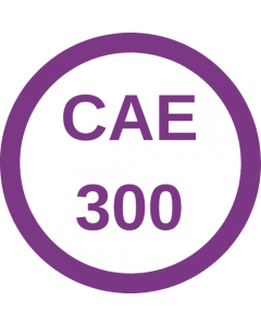 Spring 2024 - CAE 300 Association Operations Support