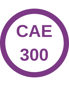 Fall 2024 - CAE 300 Association Operations Support