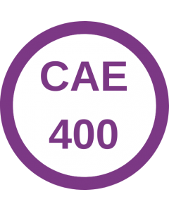 CAE400.jpg