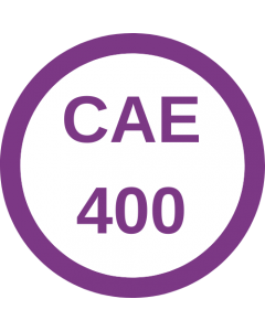 Spring 2024- CAE 400 Association Operations Products & Services 