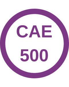 Fall 2024 - CAE 500 Developments in Association Management