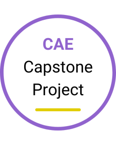 CAE Capstone Project April 2026