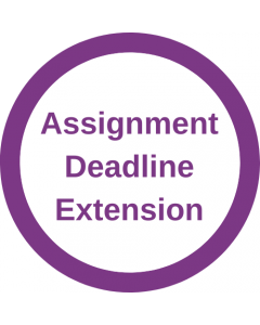 Assignment Extension